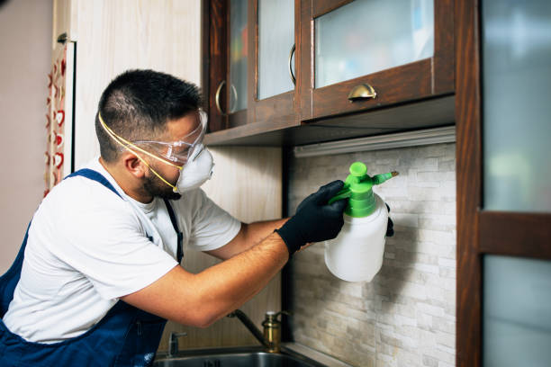 Best Termite Control Services  in Zebulon, GA