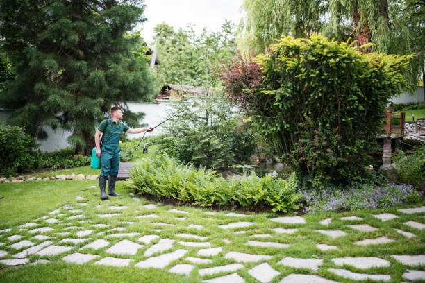 Best Pest Control for Homes  in Zebulon, GA