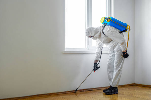 Professional Pest Control in Zebulon, GA