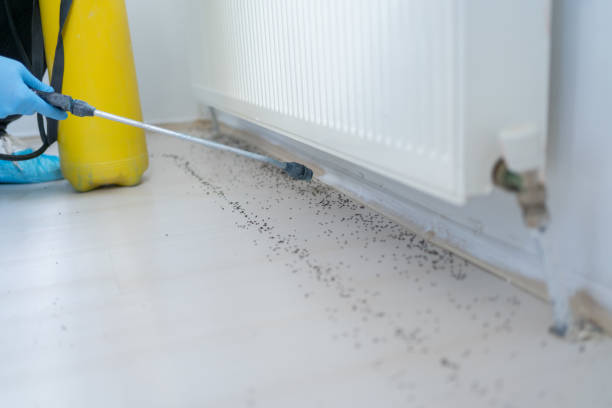 Best Pest Prevention Services  in Zebulon, GA