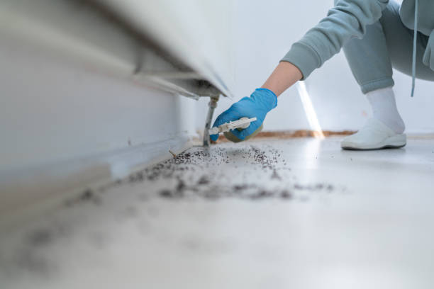 Best Mosquito Control Services  in Zebulon, GA