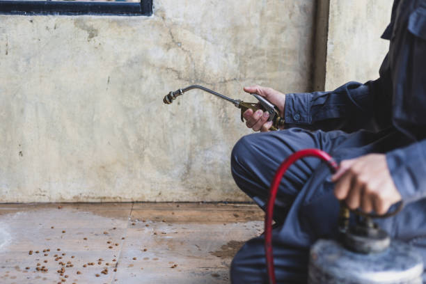 Best Wasp Removal Services  in Zebulon, GA